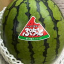 ぷちっと スイカ ☆2.5〜3kg 前後 しっかりした糖度で安定した品質。種まで食べれる【6月頃発送予定】