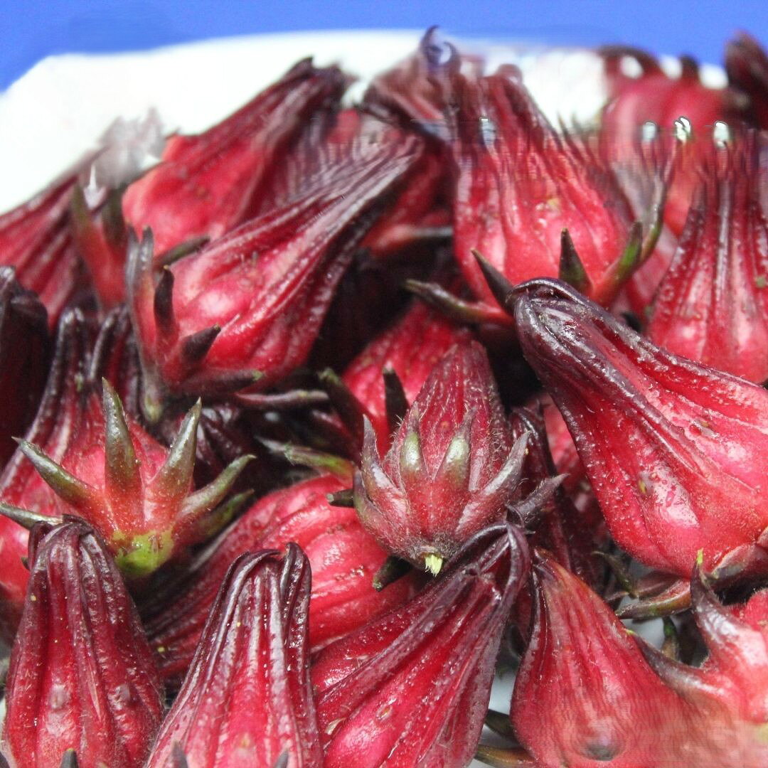 ローゼル　フレッシュ　(生)　1.5kg　沖縄県産のサムネイル