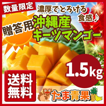 【発送8月中旬〜9月中旬】【送料無料】【贈答用】沖縄産 幻のキーツマンゴー 約1.5kg 【国産 沖縄県産 果物 マンゴー トロピカルフルーツ お取り寄せ セット ギフト プレゼント 贈り物】【たま青果】