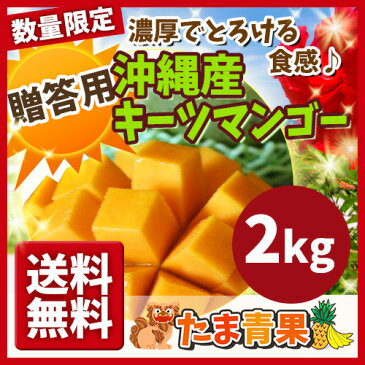 【発送8月中旬〜9月中旬】【送料無料】【贈答用】 沖縄産 幻のキーツマンゴー 約2kg 【国産 沖縄県産 果物 マンゴー トロピカルフルーツ お取り寄せ セット ギフト プレゼント 贈り物】【たま青果】