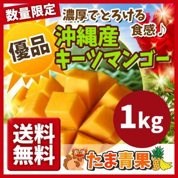 【発送8月中旬〜9月中旬】【送料無料】【優品】沖縄産 幻のキーツマンゴー 約1kg【国産 沖縄県産 果物 マンゴー トロピカルフルーツ お取り寄せ セット ギフト プレゼント 贈り物】【たま青果】