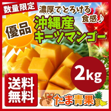 【発送8月中旬〜9月中旬】【送料無料】【優品】 沖縄産 幻のキーツマンゴー 約2kg【国産 沖縄県産 果物 マンゴー トロピカルフルーツ お取り寄せ セット ギフト プレゼント 贈り物】【たま青果】