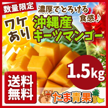 【発送8月中旬〜9月中旬】【送料無料】【訳あり】沖縄産 幻のキーツマンゴー 約1.5kg【国産 沖縄県産 果物 マンゴー トロピカルフルーツ お取り寄せ セット 訳あり】【たま青果】