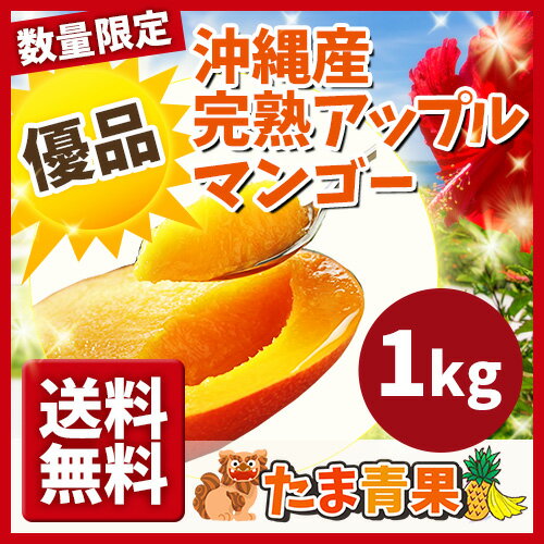 【発送7月上〜8月末】【送料無料】【楽天内最安値挑戦】【優品】沖縄産 完熟マンゴー 約1kg 【沖縄県産 トロピカルフルーツ お取り寄せ ギフト プレゼント】