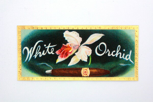 シガーボックス ヴィンテージラベル/White Orchid:Cigar Box Guitar【送料無料】