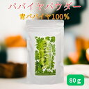パパイヤパウダー 沖縄産 パパイヤ 粉末 80g 青パパイヤ 沖縄パパイヤ 自家農園栽培 国産 沖縄 健康粉 渡具知農園 送料無料
