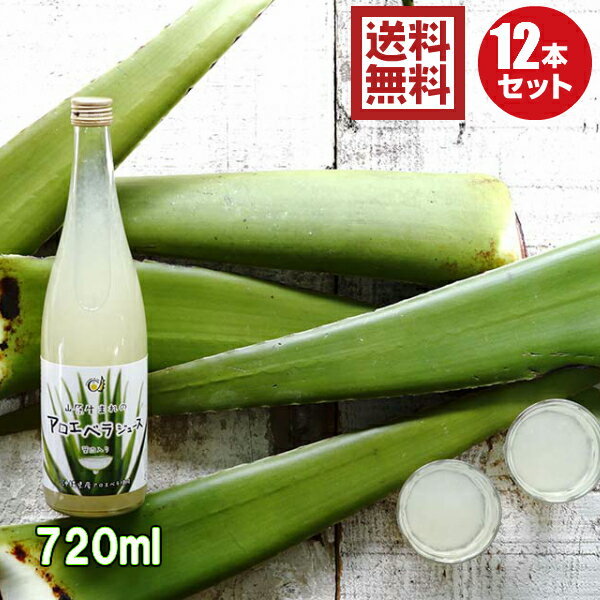 楽天沖縄アロエ沖縄県産アロエベラジュース720ml12本セット 送料無料 沖縄県産 国産 アロエ 葉肉ゲル入り つぶつぶ 健康食品 腸活 健康ドリンク アロエジュース アロエベラジュース アロエドリンク アロエエキス 安心 国内製造 お得 セット割引