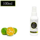シークヮーサープレミアム除菌スプレー 100ml 除菌スプレー 携帯用 アルコール 手指の消毒 ヒアルロン酸 アイスミント シークワーサー 良い香り