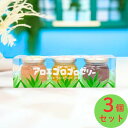 アロエ ゴロゴロゼリー マンゴー味 クランベリー味 グアバ味 90g 3個入り 沖縄県産アロエベラ アロエ入り ゼリー 沖縄土産 沖縄アロエ 新商品 \新商品発売記念30%オフキャンペーン中/(4)