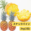 沖縄県産 ボゴールパイン 約2kg 2玉 沖縄土産 送料無料 産地直送 沖縄 パイナップル スナックパイン パインアップル 手でちぎれるパイン 国産 フルーツ ...