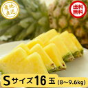 沖縄県産A級品のボゴールパイン16玉!1玉が約0.5〜0.6kgのSサイズです。16玉も入っているのでみんなで分け合えるお得な規格。1玉約380円でさらに沖縄県から産地直送で送料無料！！ 今が旬のボゴールパイン。季節や農園により、色が黄色いパイン、緑色のパインがありますが、どちらも畑で完熟されたパインですので、届いてすぐに美味しくお召し上がりいただけます。手でちぎっても食べられるので、ご家族や職場のおやつでもお楽しみ下さい♪ 発送は7月上旬までの期間限定販売となりますが、在庫が無くなり次第販売終了とさせて頂きます。生ものですので、ご注文後のキャンセルは受付出来ません。また仕入れ出来次第、新鮮な状態ですぐに発送したい為、お届け指定日はご遠慮ください。 -------------------------- 商品情報 -------------------------- ■内容量：Sサイズ16玉（約8～9.6kg） ■生産地：沖縄県 ■賞味期限：生ものですので到着後はお早めにお召し上がりください。 ■配送方法：冷蔵便／同梱不可