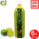 沖縄県産シークヮーサー100％果汁1L 6本セット シークワーサー 原液 青切りシークワーサー シークワーサージュース 送料無料 沖縄 青切り 100% 1000ml ジュース シークアーサー 果汁 沖縄土産 人気 健康飲料 テレビ ノビレチン 美味しい