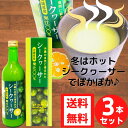 沖縄県産シークヮーサー 100% 500ml×3本セット 青切りシークワーサー シークワーサージュース シークワーサー 原液 無添加果汁 ジュース シークアーサー沖縄 ノビレチン テレビで話題になった 健康飲料 人気 土産 宅飲み お酒の割材 送料無料