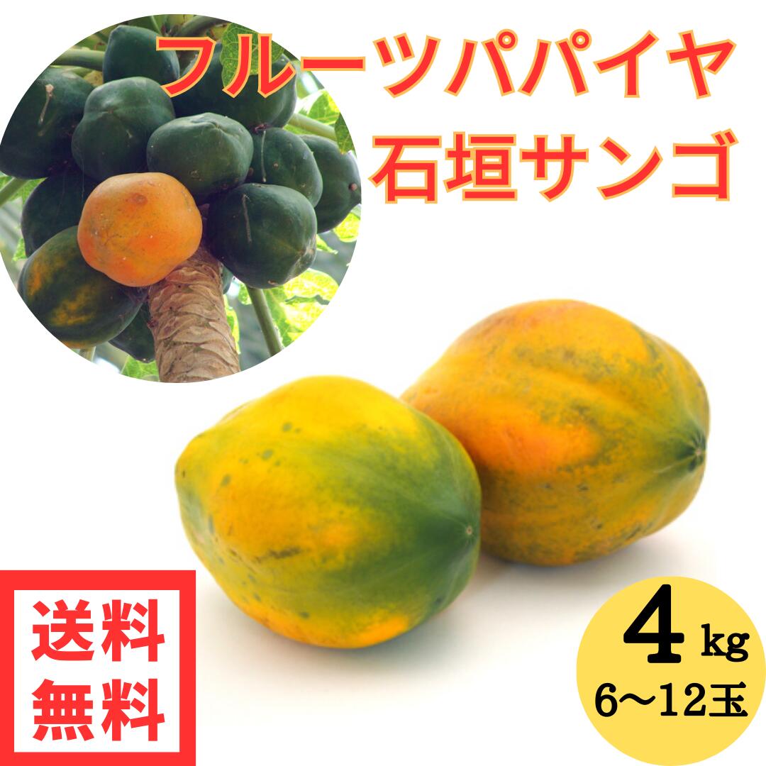 フルーツパパイヤ 石垣サンゴ 4kg （6～10玉入り） 白箱 送料無料 沖縄県産 種なし 赤パパイヤ パパイヤ 石垣フルーツパパイヤ 石垣珊瑚 トロピカルフルーツ 全国どこでも送料無料