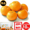 タンカン 10kg 優品 送料無料 たんかん 沖縄 みかん 産地直送 沖縄産 果物 旬 たんかん タンカン 甘い 美味しい ミカン 柑橘 お取り寄せ フルーツ 果物 今が旬