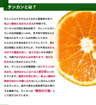 山原生まれの タンカン で作った ジュース 180ml×12本 沖縄県産 たんかん タンカンジュース たんかんジュース 沖縄産 みかんジュース お得 割引価格 飲み切りサイズ 無添加果汁