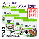 そのまんま100%スーパー大麦(40g)×6個セット【送料無料】【水溶性食物繊維 β-グルカン レジスタントスターチ フルクタン】※ポスト投函型発送となります。