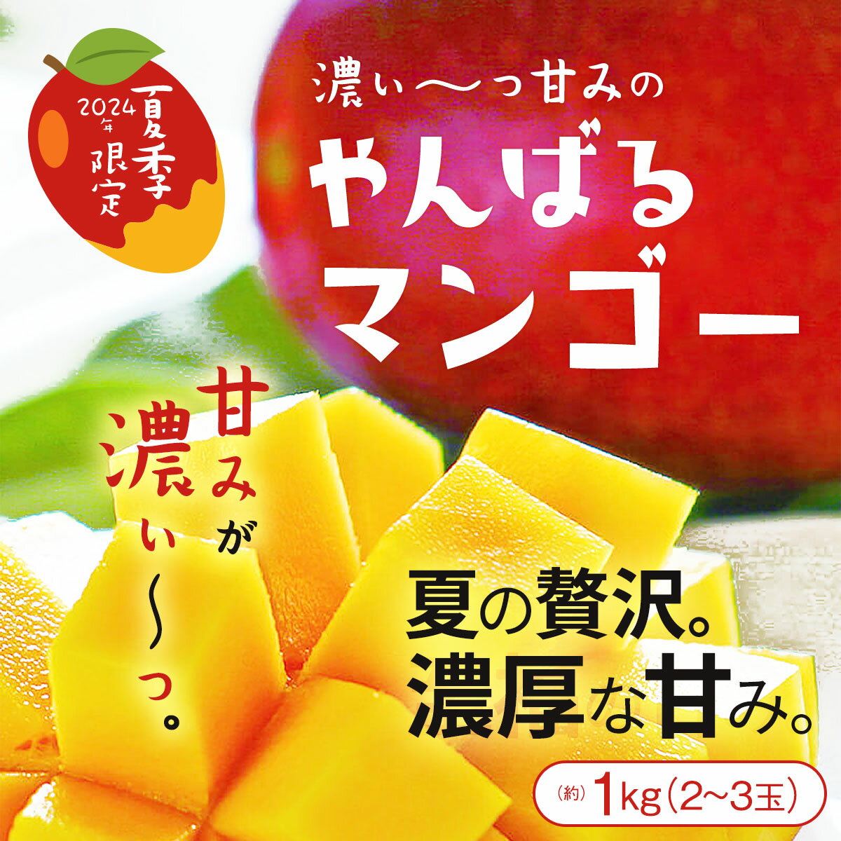 マンゴー 【2024年予約販売開始！】【7月下旬〜8月中旬頃発送予定】沖縄県産マンゴー 約1kg（2〜3玉入）【マンゴー アップルマンゴー 完熟マンゴー 沖縄マンゴー 果物 フルーツ】