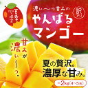 【2024年予約販売開始！】【7月下旬〜8月中旬頃発送予定】沖縄県産訳ありマンゴー 約2kg（4〜5 ...