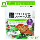 【スーパー大麦［バーリーマックス］】そのまんま100%スーパー大麦（40g×1袋）【水溶性食物繊維 β-グルカン レジスタントスターチ フルクタン】