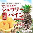 【6月上旬~7月上旬頃発送予定】【特選】沖縄県産ジュワリーパイン(大サイズ:4L相当)2玉(約3.6kg)【パイン パイナップル ハワイ種 N種パイン トロピカルフルーツ 沖縄 やんばる 贈答 ギフト】