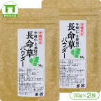 【クロロゲン酸を豊富に含んだ！】沖縄県産100%長命草パウダー（30g×2袋）【長命草 パウダー 粉末 ボタンボウフウ アディポネクチン ポリフェノール クロロゲン酸 ポリフェノール 青汁 スムージー 美容 健康】