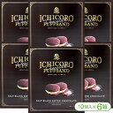 ナンポーのICHICORO（イチコロ）チョコレートパフサンド・ブラックビターチョコレート（10個入×6箱）