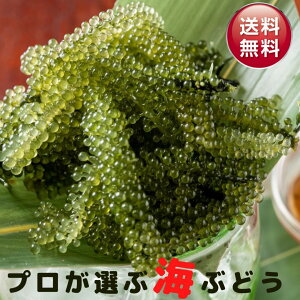 【南国の味】美味いもんばかりな沖縄の絶品特産品のおすすめは？
