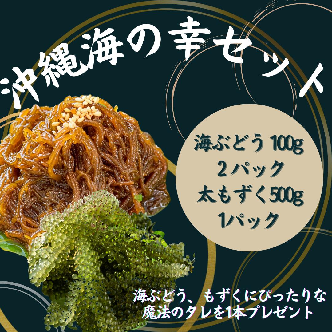 【専用タレ付き】 沖縄 海の幸 セット 海ぶどう 200g 塩もずく 500g 沖縄県産 送料無料 クビレズタ 沖縄料理 沖縄食材 水産 沖縄 お土産 うみぶどう 寿司 丼 海ブドウ 低カロリー ミネラル 5のつく日 プレゼント ウミブドウ モズク 塩蔵 フコイダン 海藻 ギフト 父の日