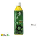 沖縄産 シークワーサー ジュース 500ml 果汁100% ペットボトル 無添加 山原シークヮーサー 原液 ノビレチン クエン酸 健康飲料 調味料 沖縄県 やんばる産 シークァーサー 果実 皮ごと ストレー…