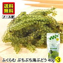 【送料無料】無添加 ふくらむ ぷちぷち 海ぶどう 塩水漬け 40g×3個 メール便 増える 膨らむ 長期保存 沖縄 ご当地 グルメ ミネラル 豊富 低カロリー ...