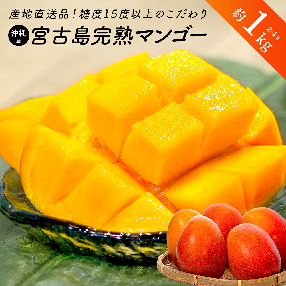 【絶品美味】 沖縄宮古島マンゴー 高糖度 1kg 2-4玉 完熟 宮古島直送 【送料無料】のサムネイル