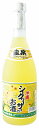 泡盛 龍泉 シークヮーサーのお酒 10度 720ml /(株)龍泉酒造 泡盛 リキュール シークヮーサー 沖縄焼酎 沖縄お酒 琉球泡盛 沖縄お土産 人気泡盛 お...