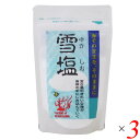 【9/13(土)限定!エントリーでポイント2倍!】雪塩 パウダータイプ 60g 3個セット 宮古島の海水100% さらさら微粒 粉末タイプ 調味料 海塩