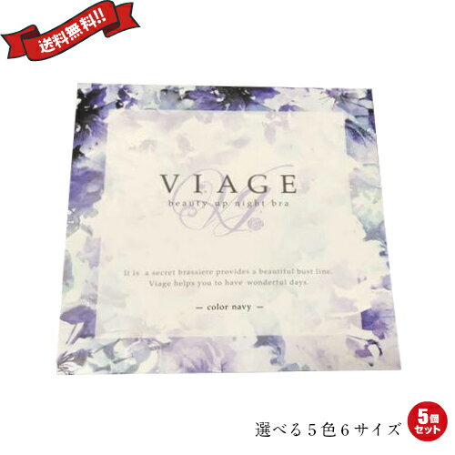 ナイトブラ viage 大きい人用 ヴィアージュ ビューティーアップナイトブラ VIAGE 全5色 5個セット