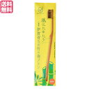 【7/10(木)限定!楽天カード利用でポイント9倍!】歯ブラシ ハブラシ 馬毛 FINE MEGURU 竹の歯ブラシ 花馬毛(ふつう)送料無料