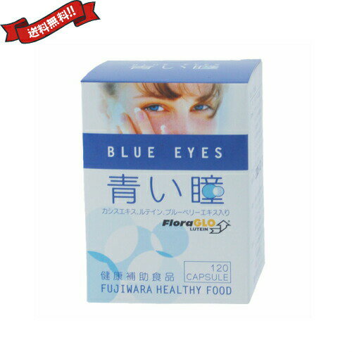 人気が高い ポイント6倍 最大34倍 ルテイン サプリ ビルベリー フジワラ 青い瞳 Blue Eyes 1粒 クリスマス プレゼント ギフト Www Alpeker It