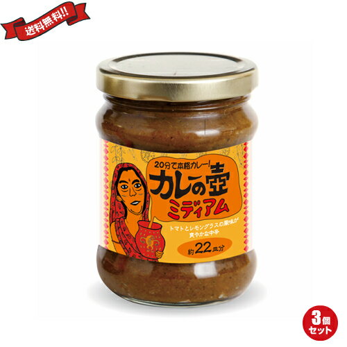 カレー ルー レトルト 第3世界ショップ カレーの壺 ミディアム 220g 3個セット