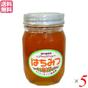 【マラソン限定!ポイント2倍!100円クーポン!】はちみつ 蜂蜜 国産 五十川養蜂園 国産はちみつ 混花 500g 5個 送料無料