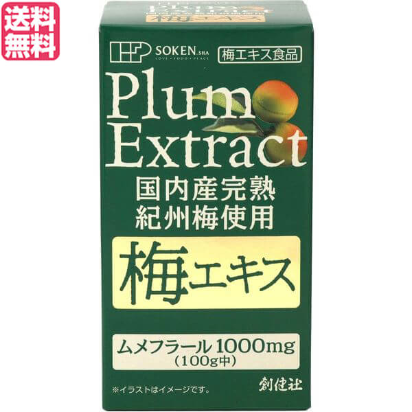 梅エキス 国産 梅 創健社 国内産完熟紀州梅100％ 梅エキス 90g 送料無料