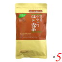 はとむぎ茶 ハトムギ 茶 茶みんなのはと麦茶 160g(8g×20) 5個セット 小川生薬 送料無料