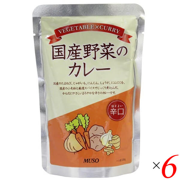 カレー 国産 辛口 ムソー 国産野菜のカレー辛口 200g 6個セット