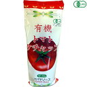 ケチャップ オーガニック パパヤソース 有機トマトケチャップ 300g