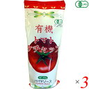 ケチャップ オーガニック パパヤソース 有機トマトケチャップ 300g 3個セット