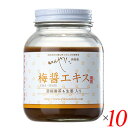 梅梅醤エキス 濃縮番茶&生姜入り 250g 10個セット いんやん倶楽部