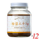 梅梅醤エキス 濃縮番茶＆生姜入り 250g 12個セット いんやん倶楽部