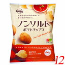 創健社 ノンソルトポテトチップス 60g 12個セット 塩なし 国産 ギザギザ