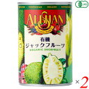 ジャックフルーツ オーガニック 缶詰 アリサン 有機ジャックフルーツ 400g 2個セット パラミツ ハラミツ 波羅蜜