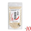 【マラソン限定!100円クーポン!学割2倍!】杉本商店 九州産本格椎茸粉 40g 10個セット シイタケ パウダー 粉末