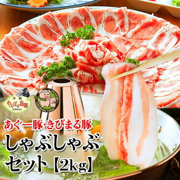 アグー豚 しゃぶしゃぶ 豚肉 沖縄 あぐー豚 しゃぶしゃぶセット【2000g入8〜10人前/100g×20個】